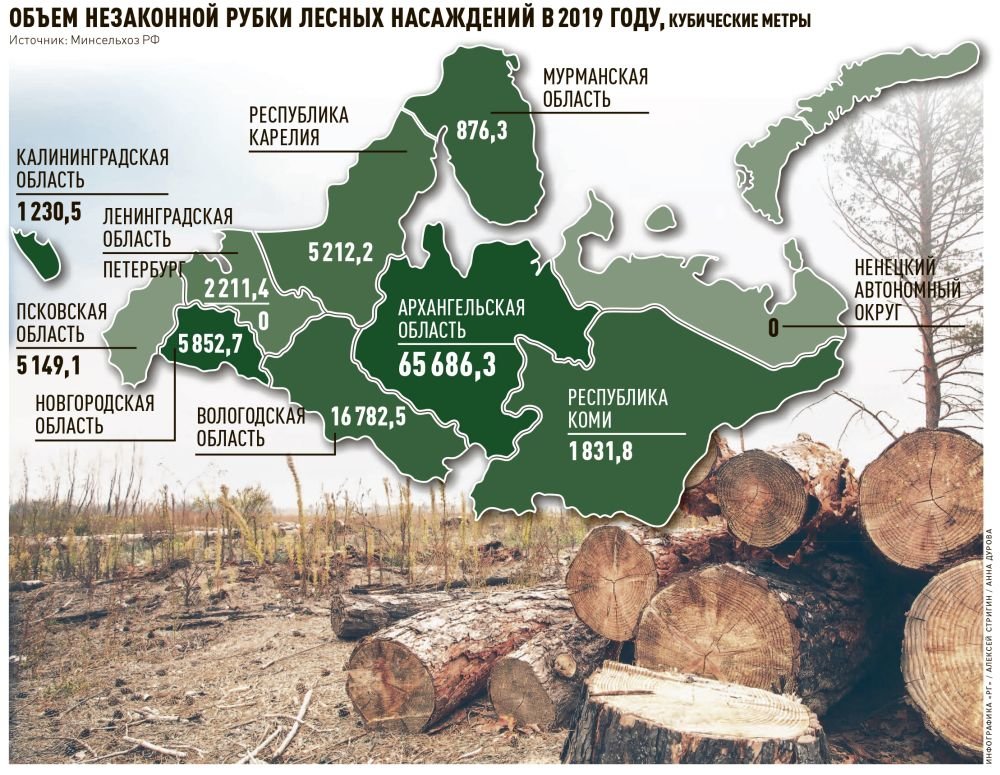 Карта лесов россии по областям